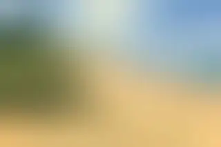 Natura czy reklamy? Jak dzieci w Ustroniu Morskim poznają przyrodę