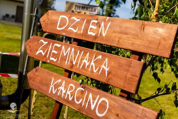 Dzień Ziemniaka w Karcinie – rodzinna zabawa i atrakcje dla wszystkich
