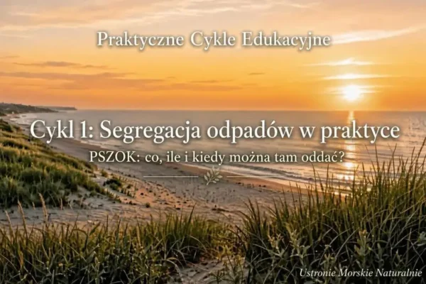 PSZOK w Ustroniu Morskim – jak działa i co można tam oddać?