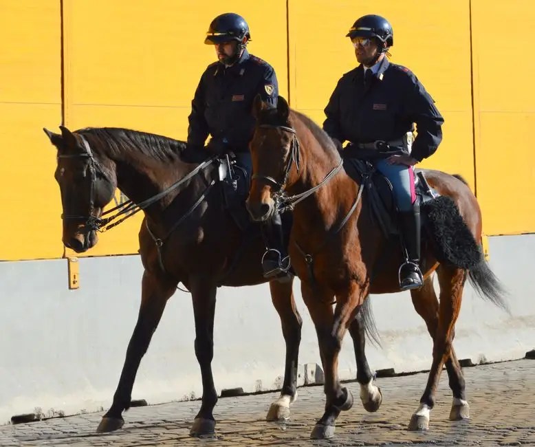 Końska siła w służbie: policyjny patrol konny w powiecie kołobrzeskim