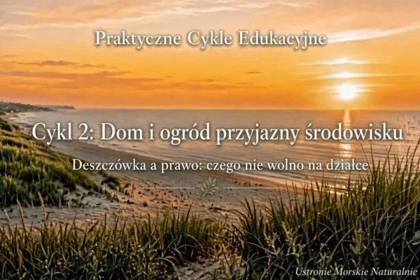 Deszczówka na działce: co wolno, a co grozi karą?