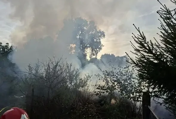 Pożar szopy w Bogucinie. Strażacy z kilku jednostek w akcji