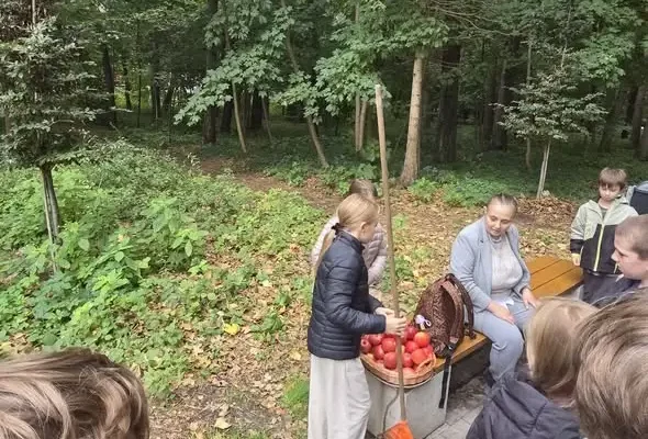 Jeże znalazły nowe osiedle w Ustroniu Morskim. W Parku Nadmorskim powstały zimowe kopczyki