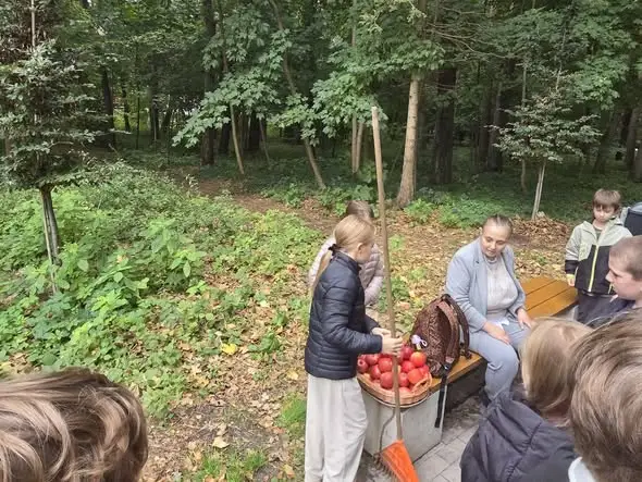 Jeże znalazły nowe osiedle w Ustroniu Morskim. W Parku Nadmorskim powstały zimowe kopczyki