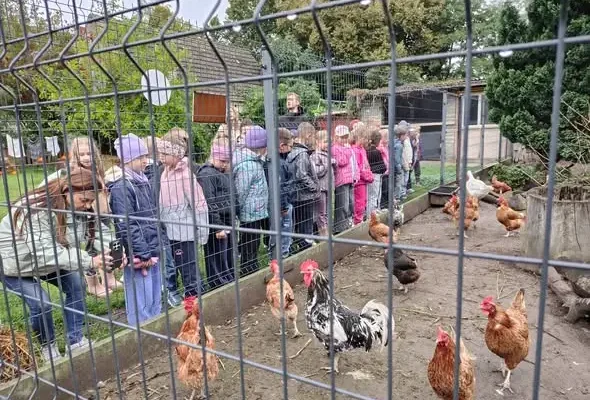 Klasy 2a i 2b z Kołobrzegu na farmie dyniowej w Dziadkowiźnie
