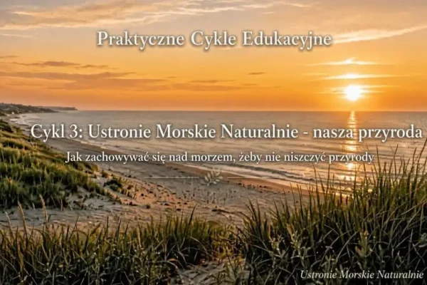 Wydmy i klify nad Bałtykiem – o czym musisz pamiętać, by nie dostać mandatu