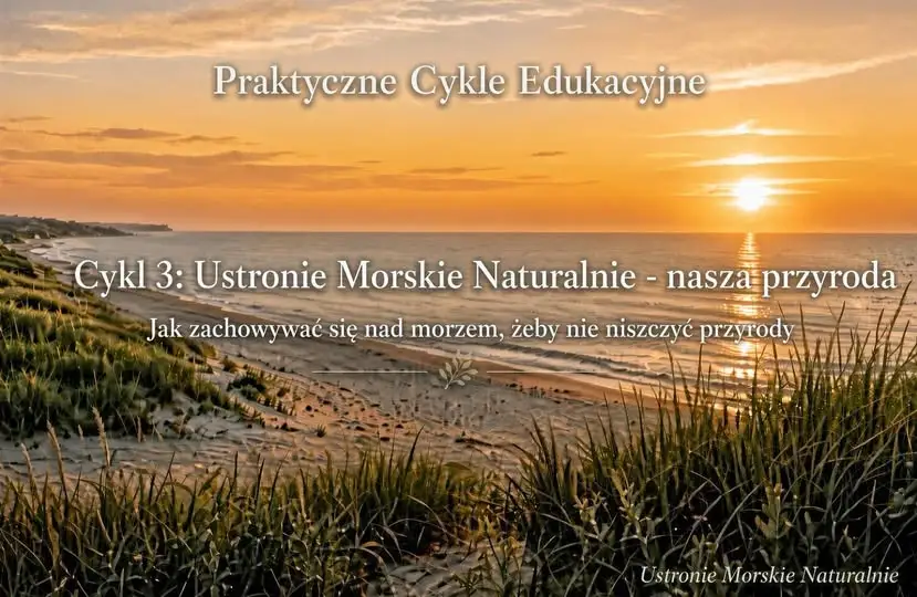 Wydmy i klify nad Bałtykiem – o czym musisz pamiętać, by nie dostać mandatu