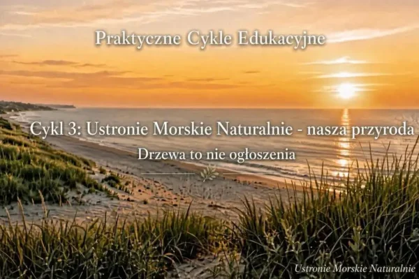 Wieszanie ogłoszeń na drzewach to wykroczenie. Za kartkę na pniu grozi nawet 1500 zł nawiązki