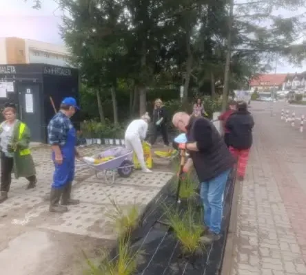 Różowy Ogród Kieszonkowy powstał w Ustroniu Morskim