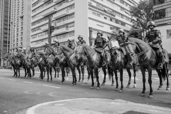 Kuce na drodze wojewódzkiej w powiecie kołobrzeskim. Interwencja policji z Ustronia Morskiego